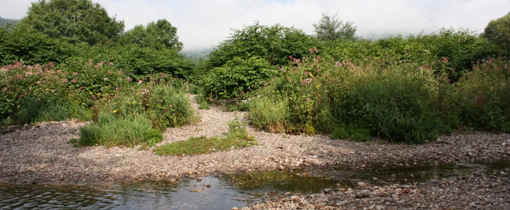 Du Pont de Maxonchamp