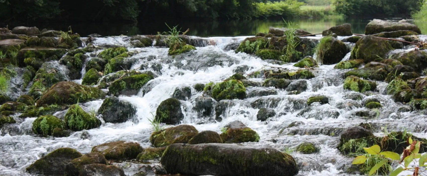 Du Pont de Maxonchamp