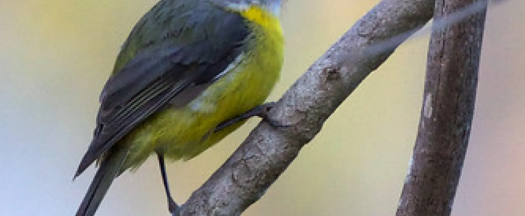 McLennons Punt Campground