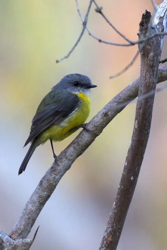 McLennons Punt Campground