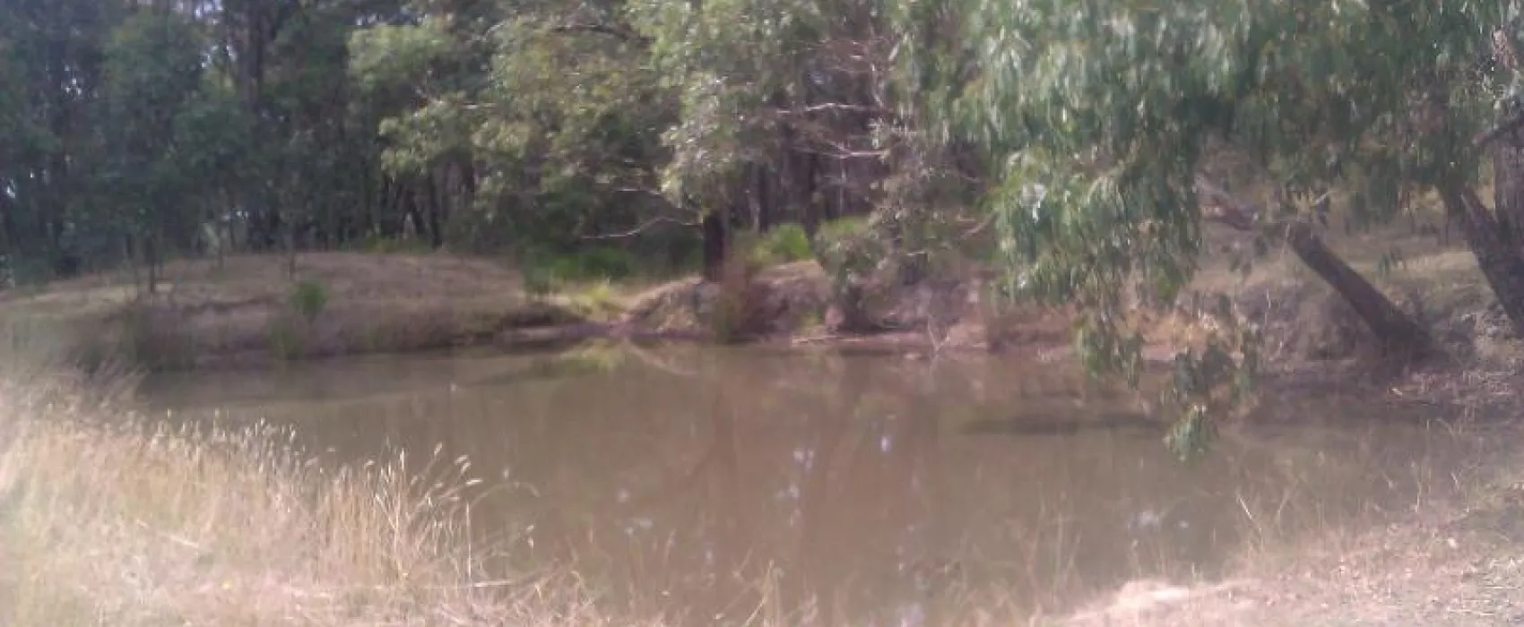 Hammond Road Campground