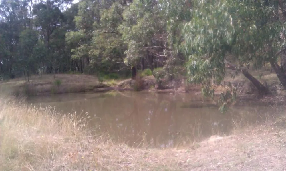 Hammond Road Campground