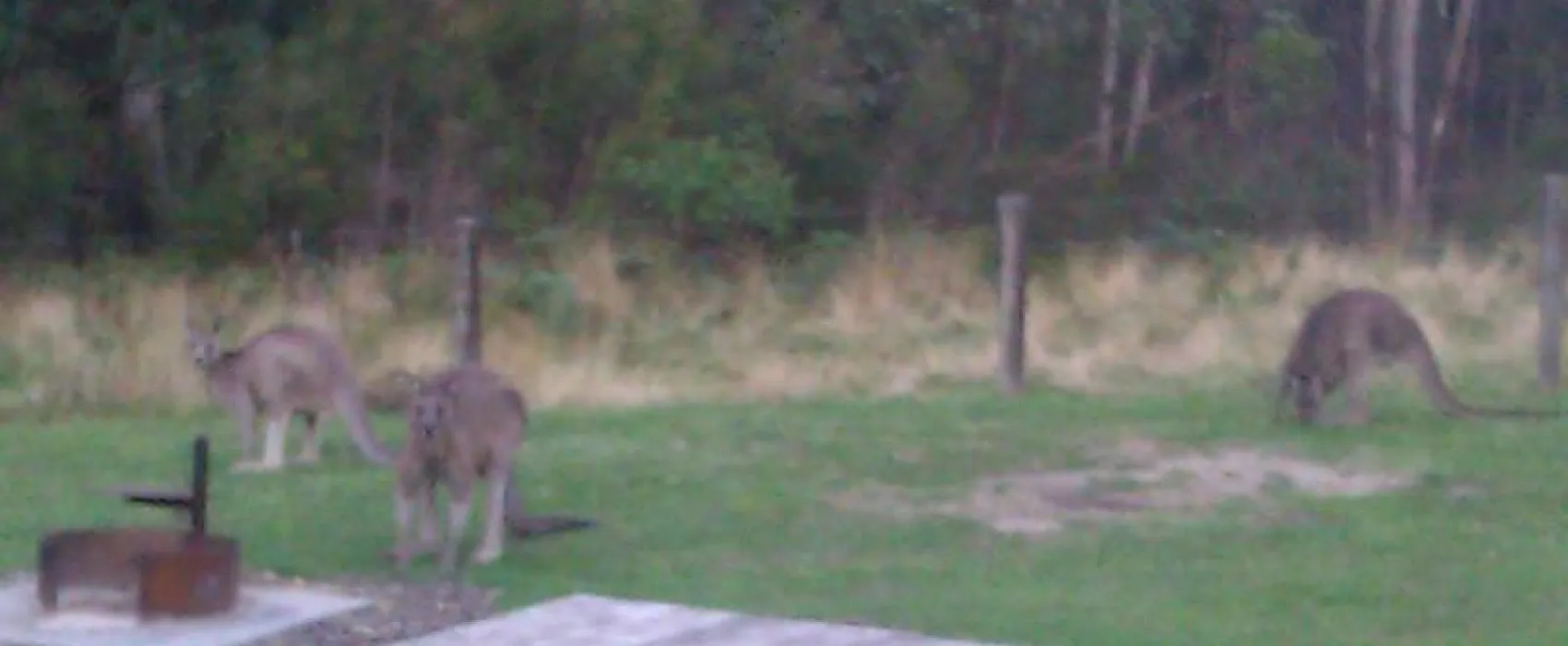 Hammond Road Campground