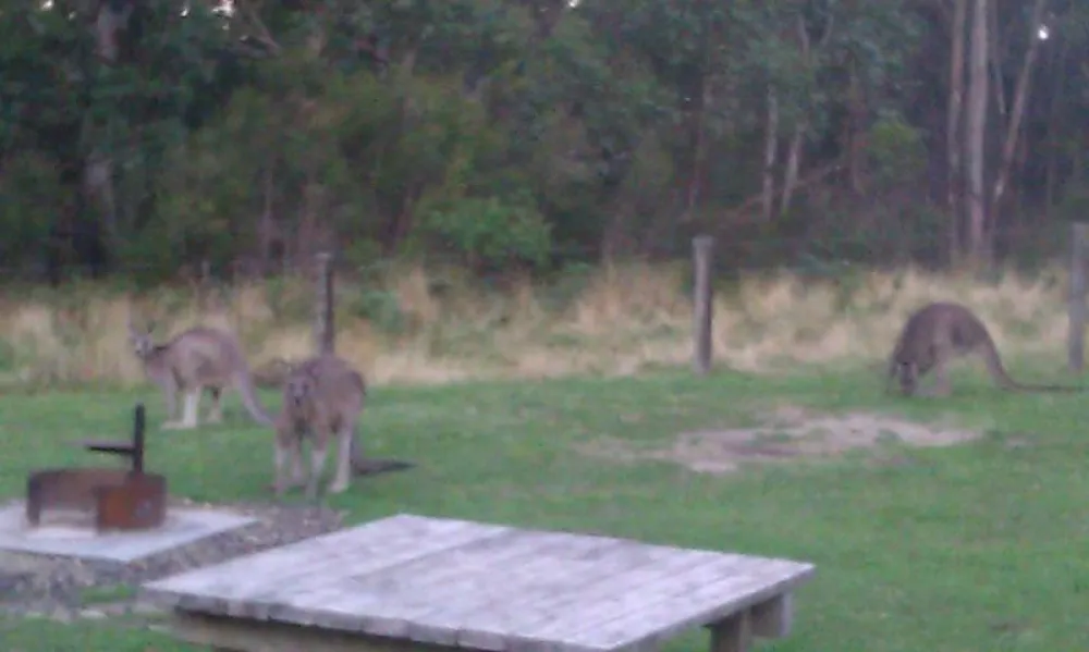 Hammond Road Campground
