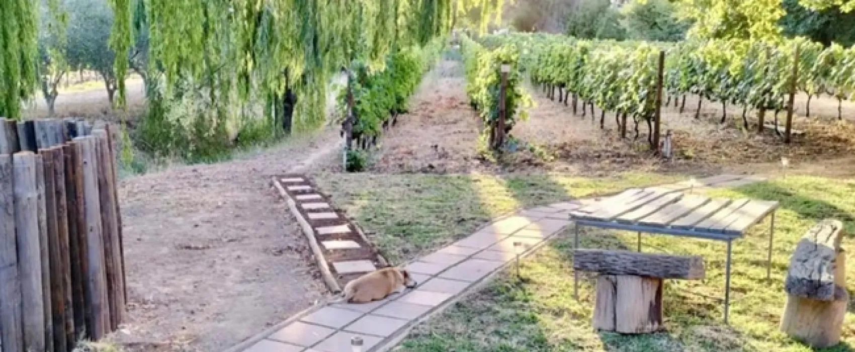 The Well Glamping Tent