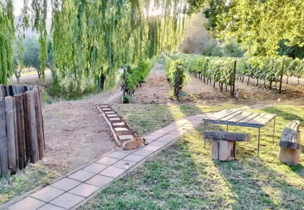 The Well Glamping Tent