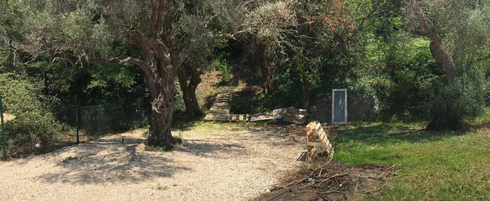 Camping Q Bar Montenegro