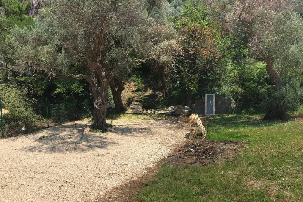 Camping Q Bar Montenegro