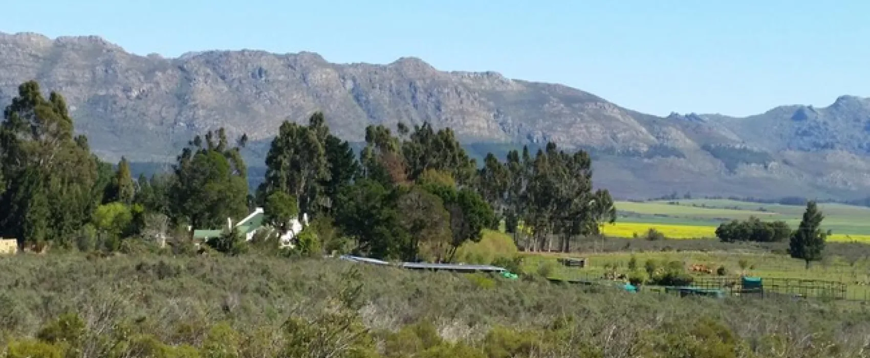 Fynbos Guest Farm