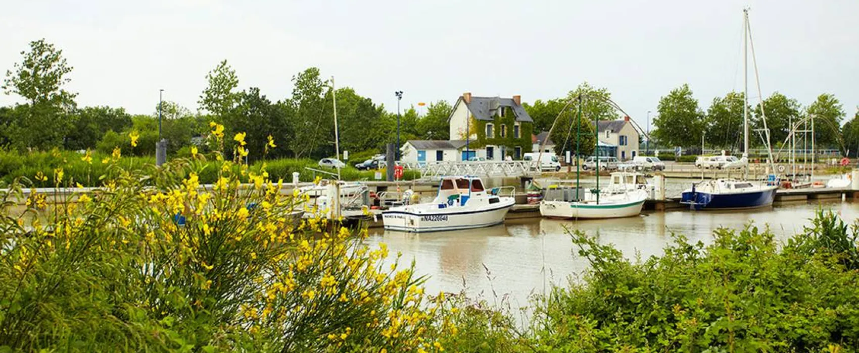 Camping les Salorges