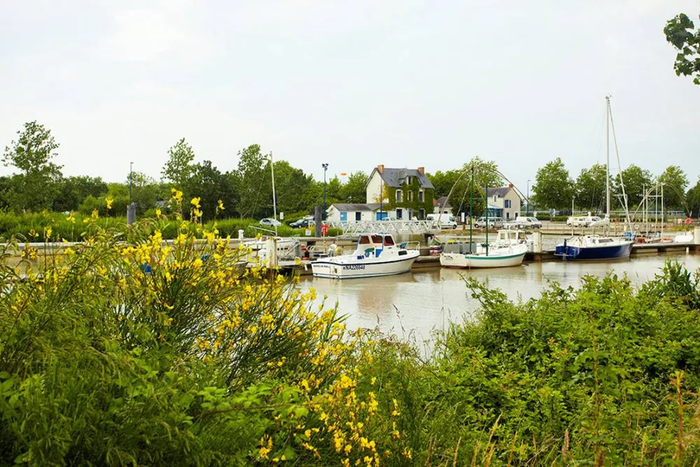 Camping les Salorges