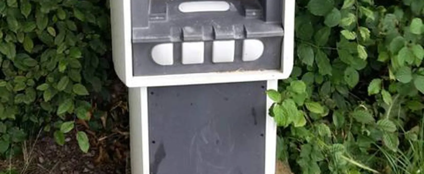 Camping Municipal De L'essert