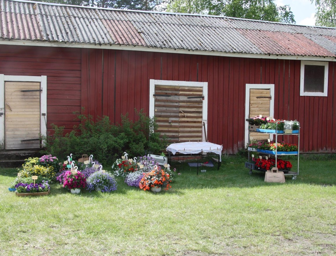 Nummenkylä RY photo 3