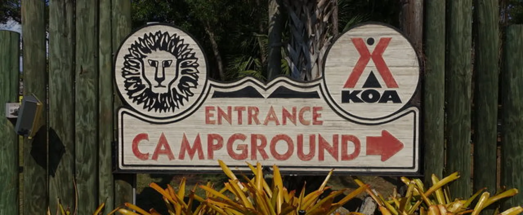 Lion Country Safari KOA