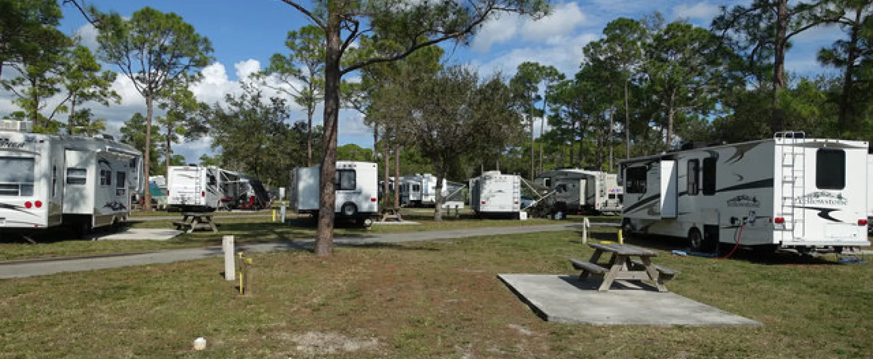 Lion Country Safari KOA