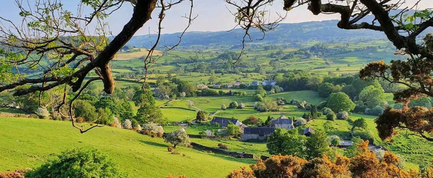 Damson View Glamping