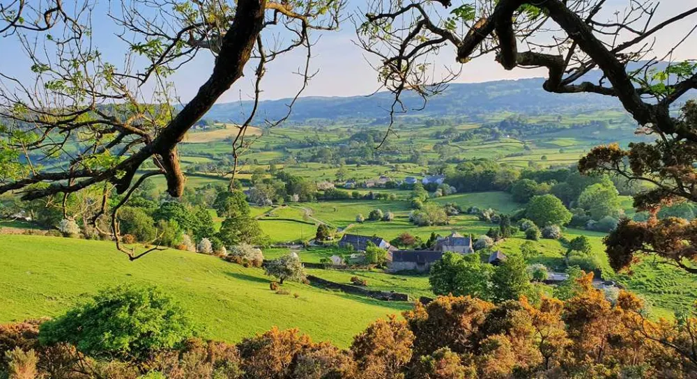 Damson View Glamping