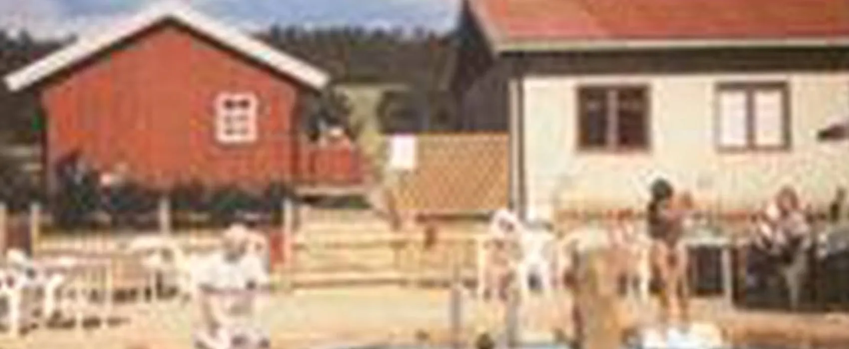 Gullvåg Camping Og Motell