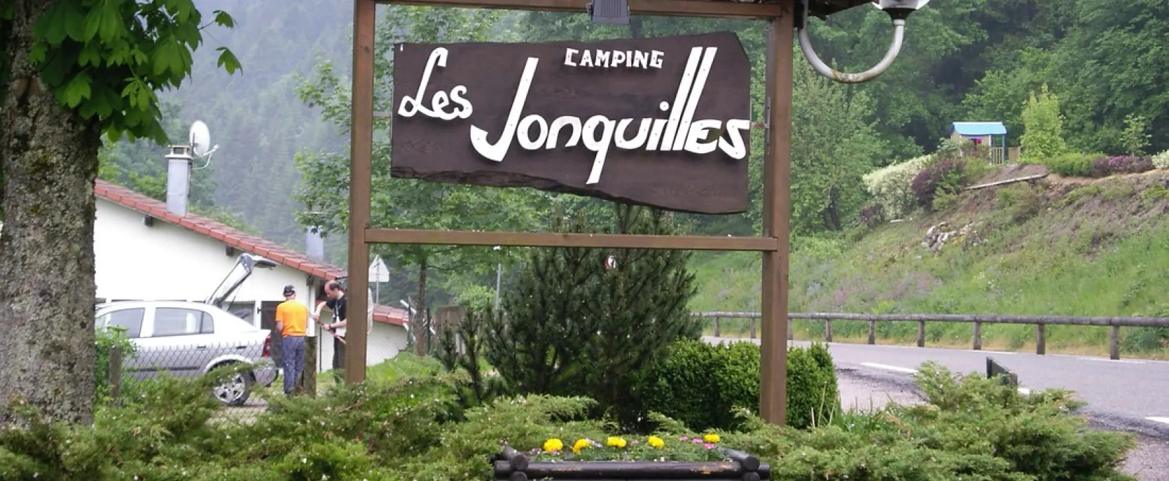 Les Jonquilles