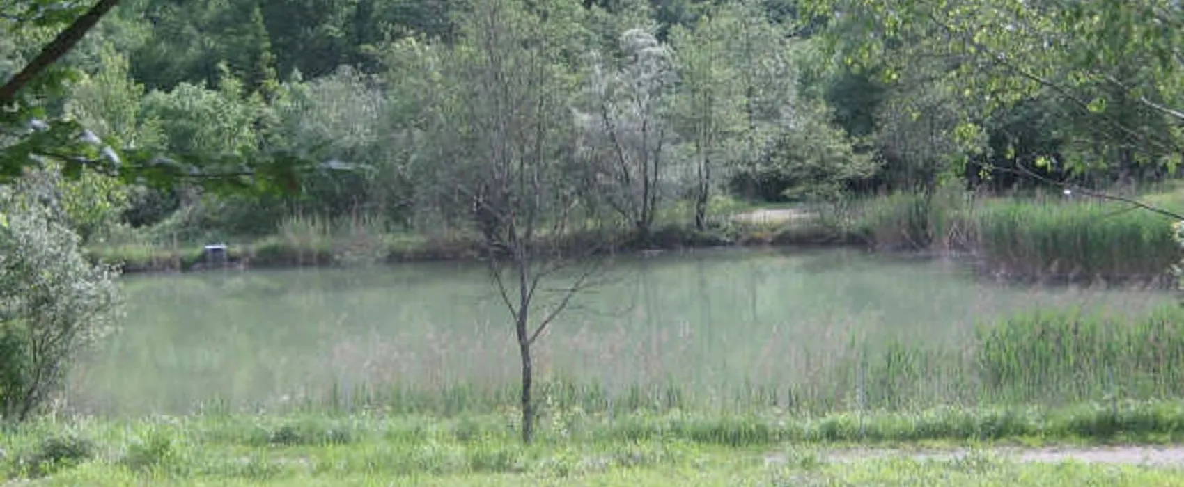 Le Moulin de la Fraite