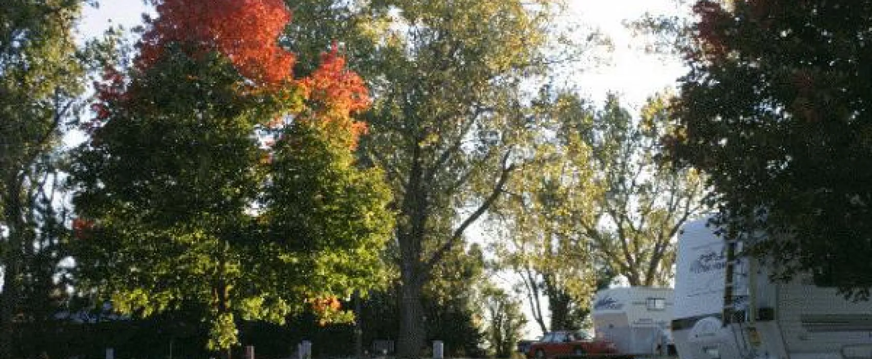 Cottonwood Grove RV Campground