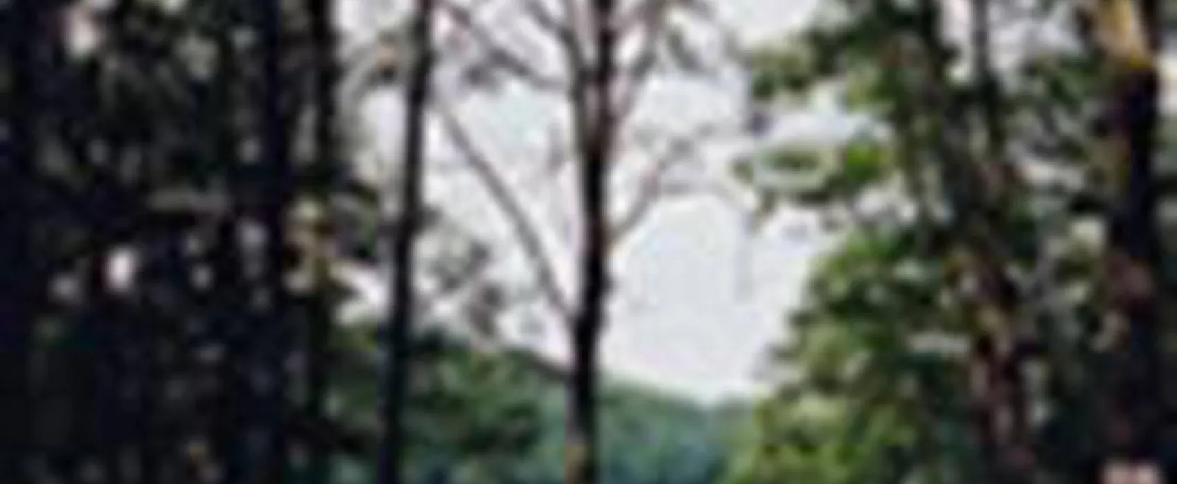 Camping municipal du lac St Hélène