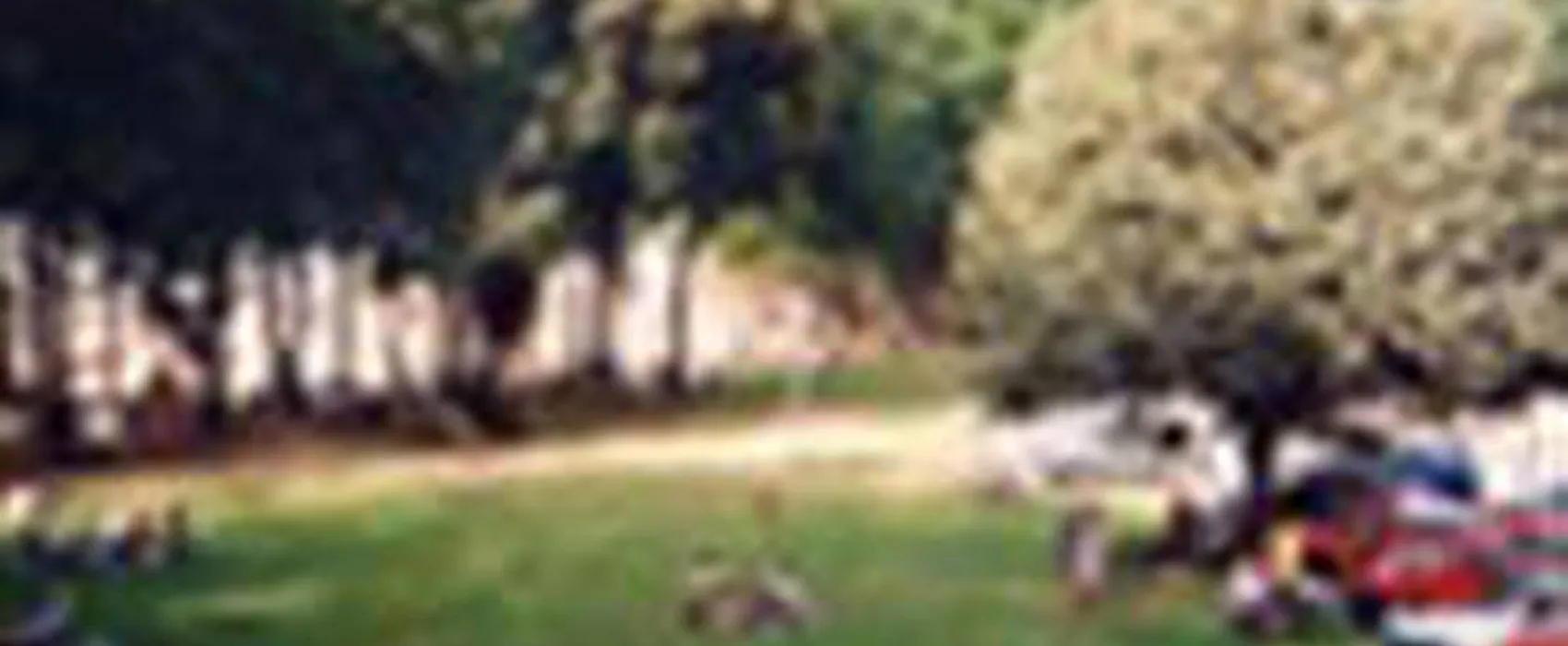 Camping municipal du lac St Hélène