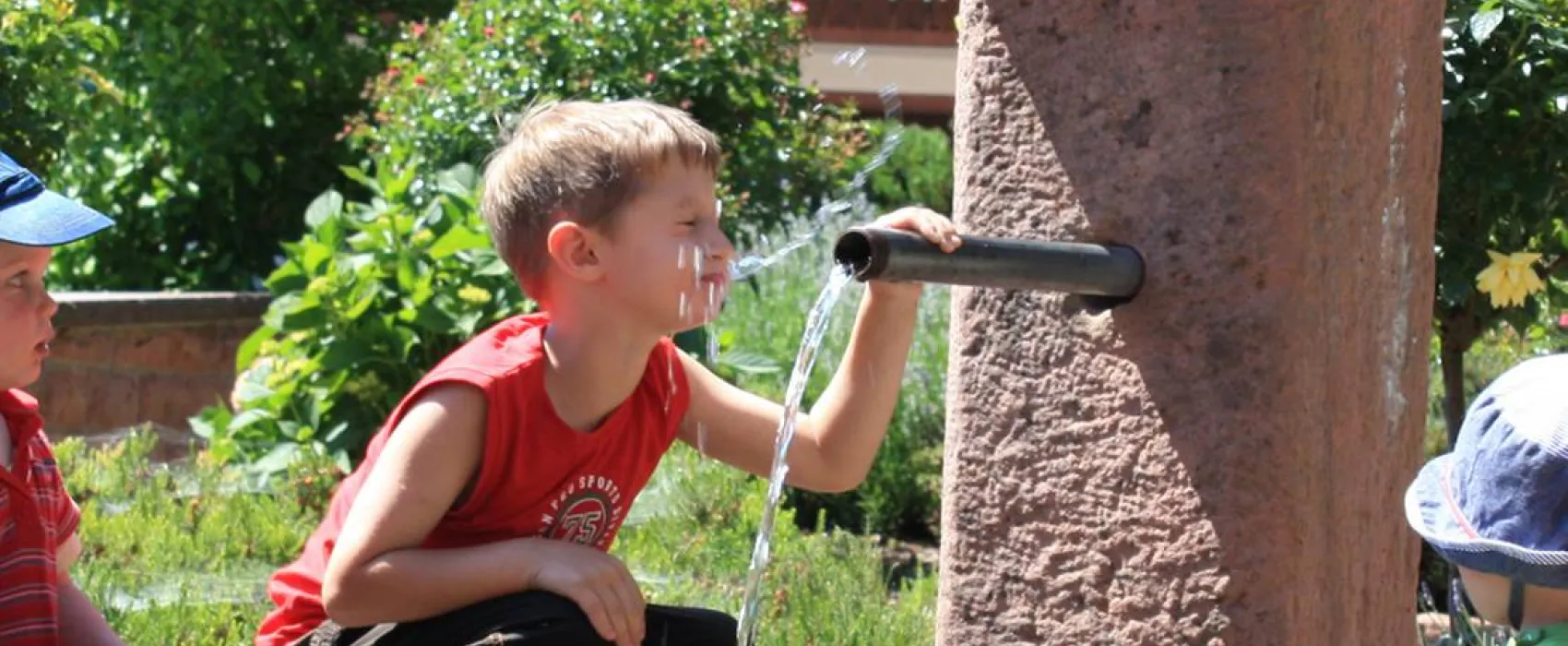 Schlosshof - Camping am Bauernhof