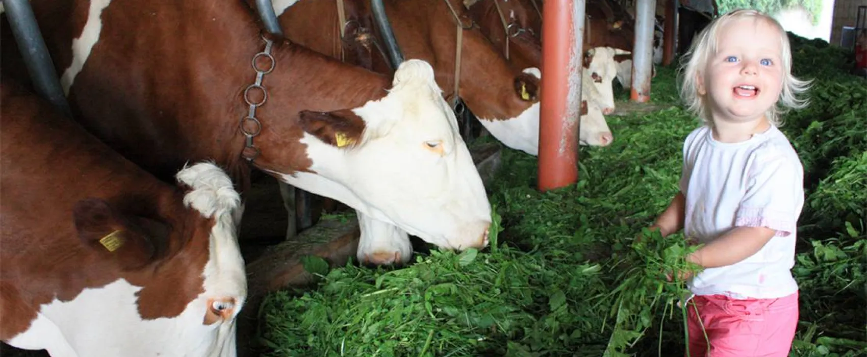 Schlosshof - Camping am Bauernhof