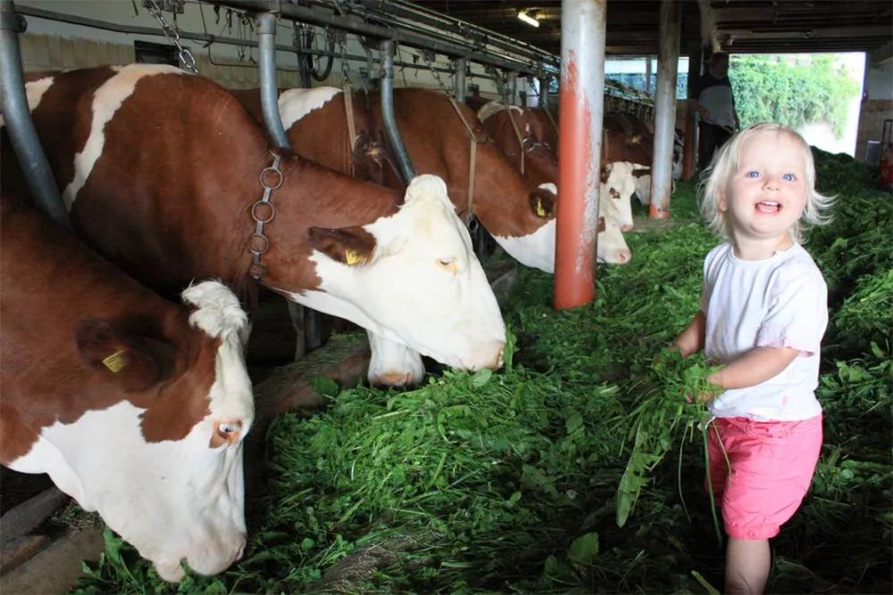 Schlosshof - Camping am Bauernhof