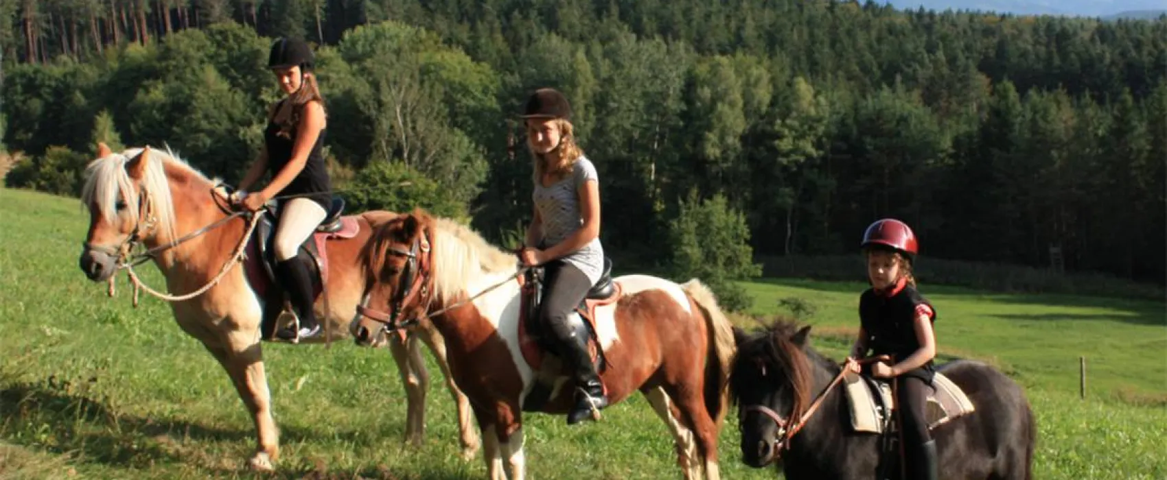 Schlosshof - Camping am Bauernhof