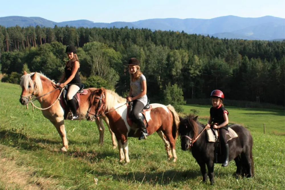Schlosshof - Camping am Bauernhof