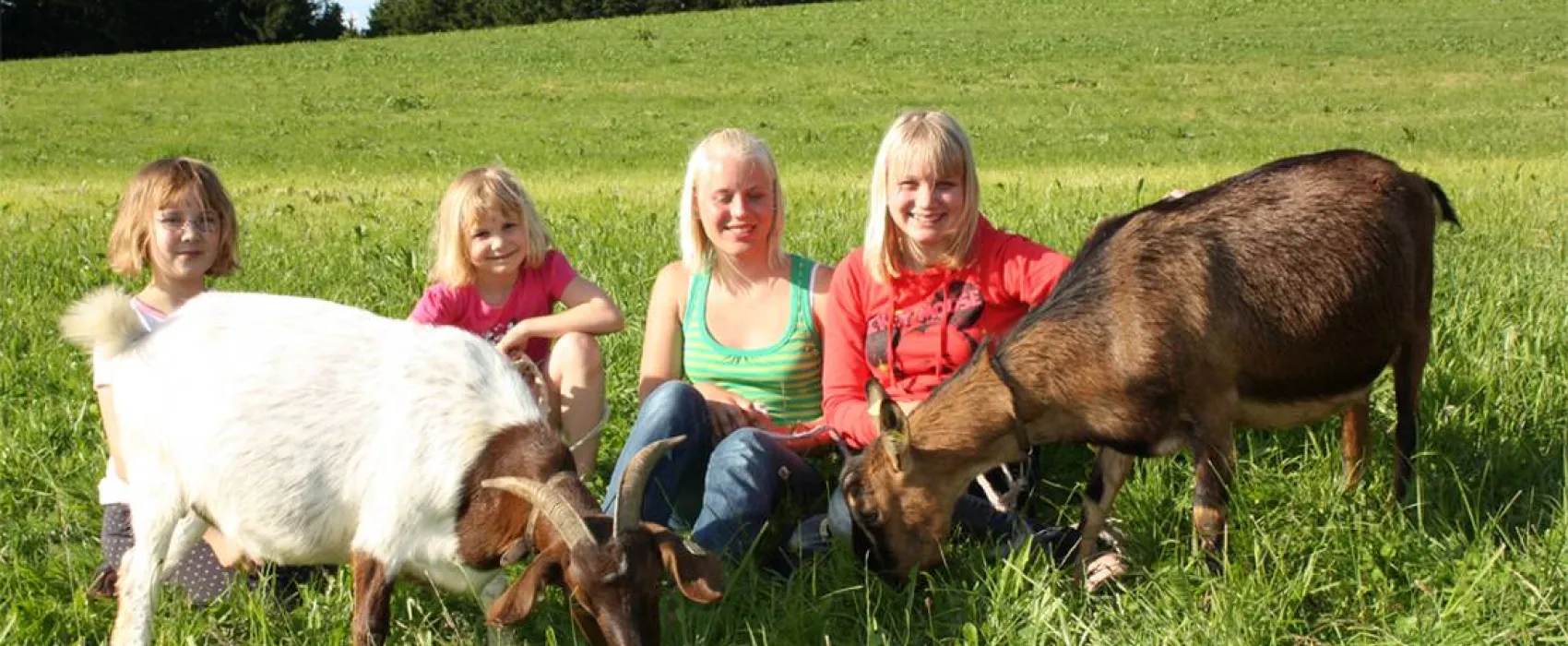 Schlosshof - Camping am Bauernhof