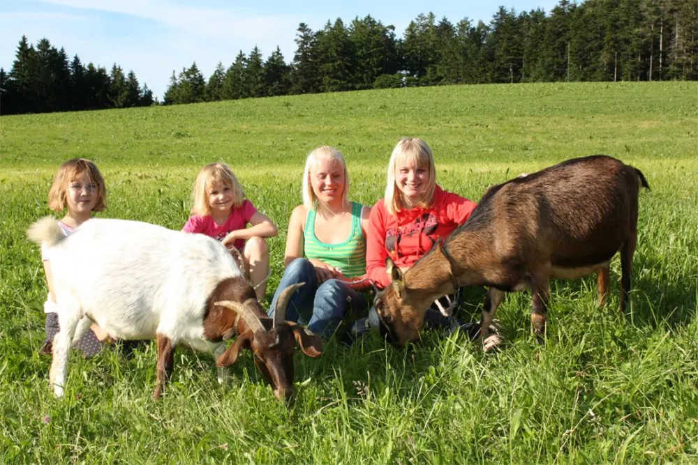 Schlosshof - Camping am Bauernhof