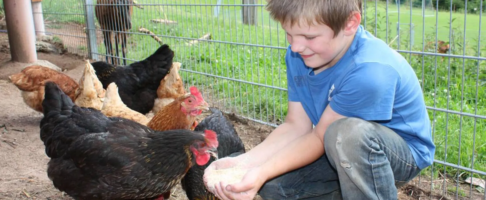 Schlosshof - Camping am Bauernhof