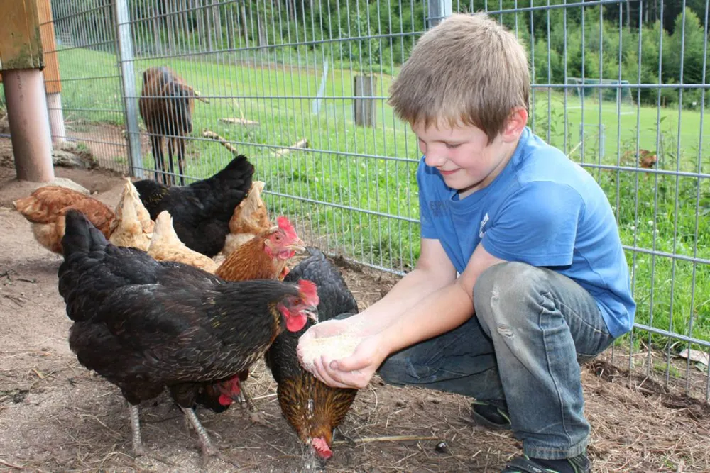 Schlosshof - Camping am Bauernhof