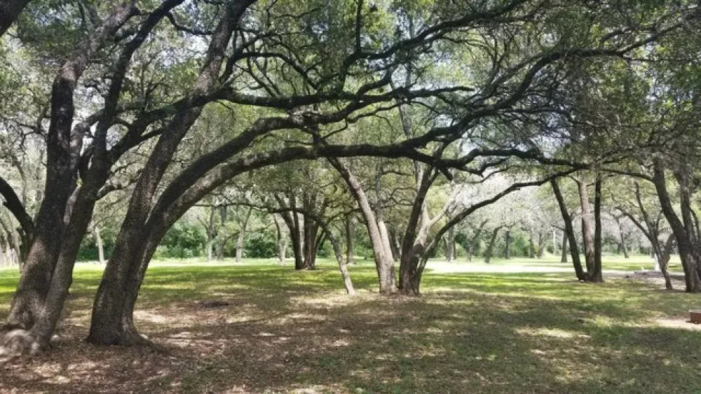 Live Oak Ridge Campground
