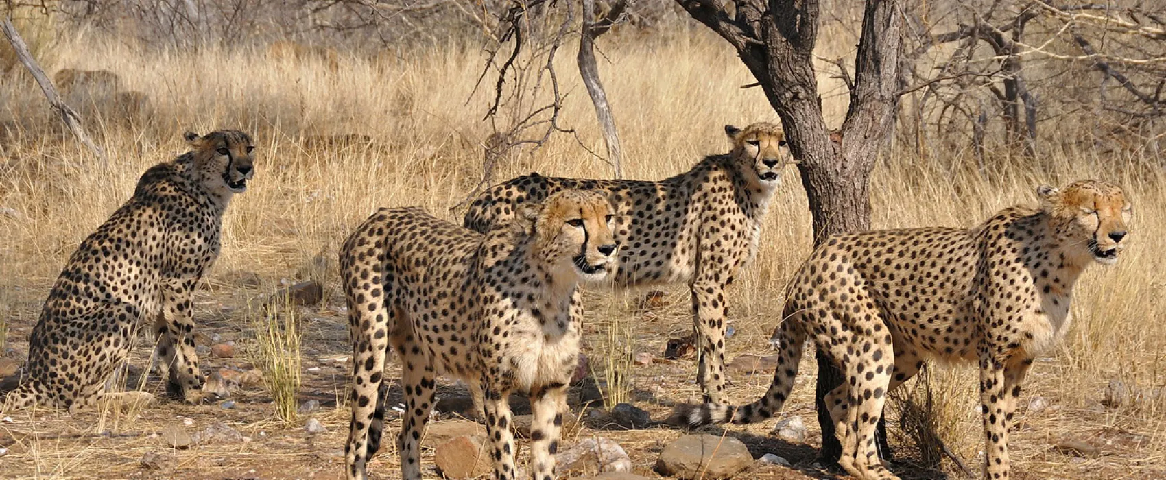 Düsternbrook Guest Farm