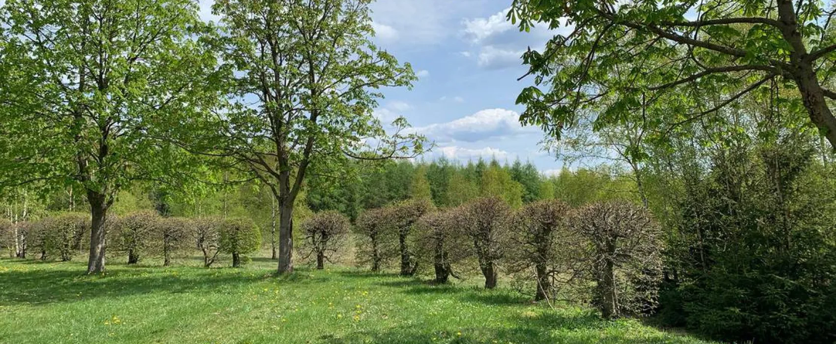 Berghotel Drei Brüder Höhe