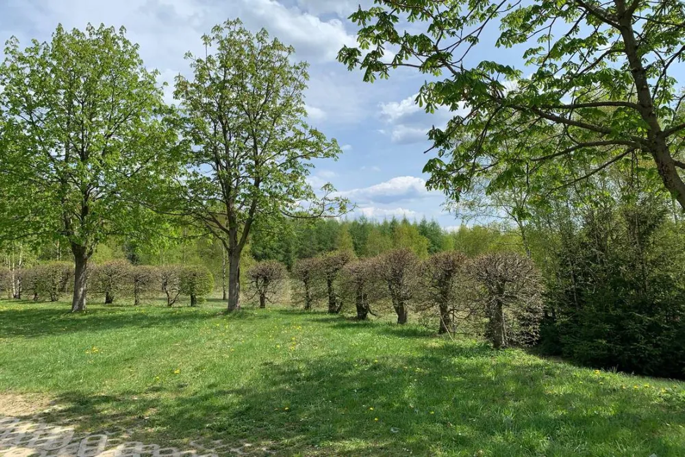 Berghotel Drei Brüder Höhe