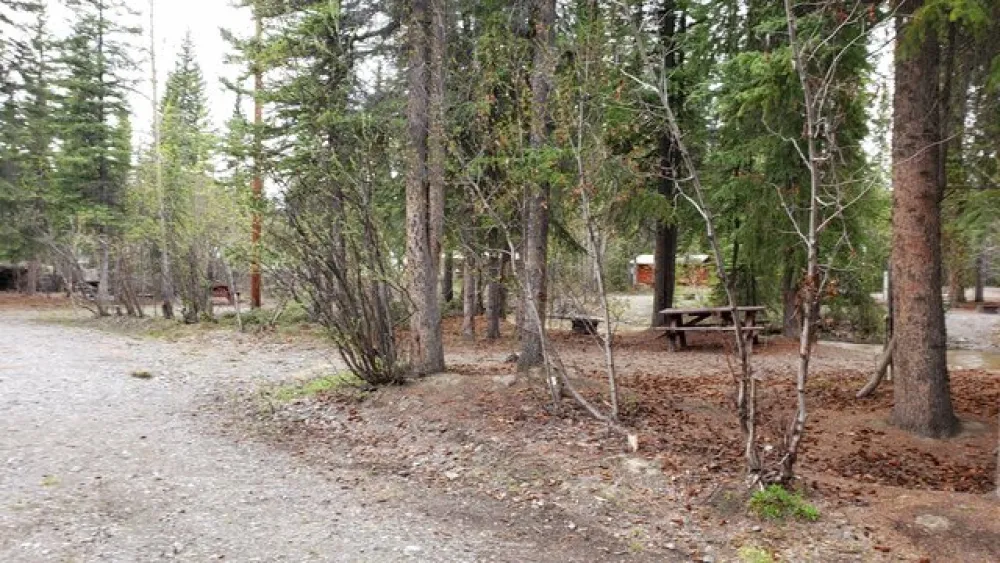 Tolsona Wilderness Campground
