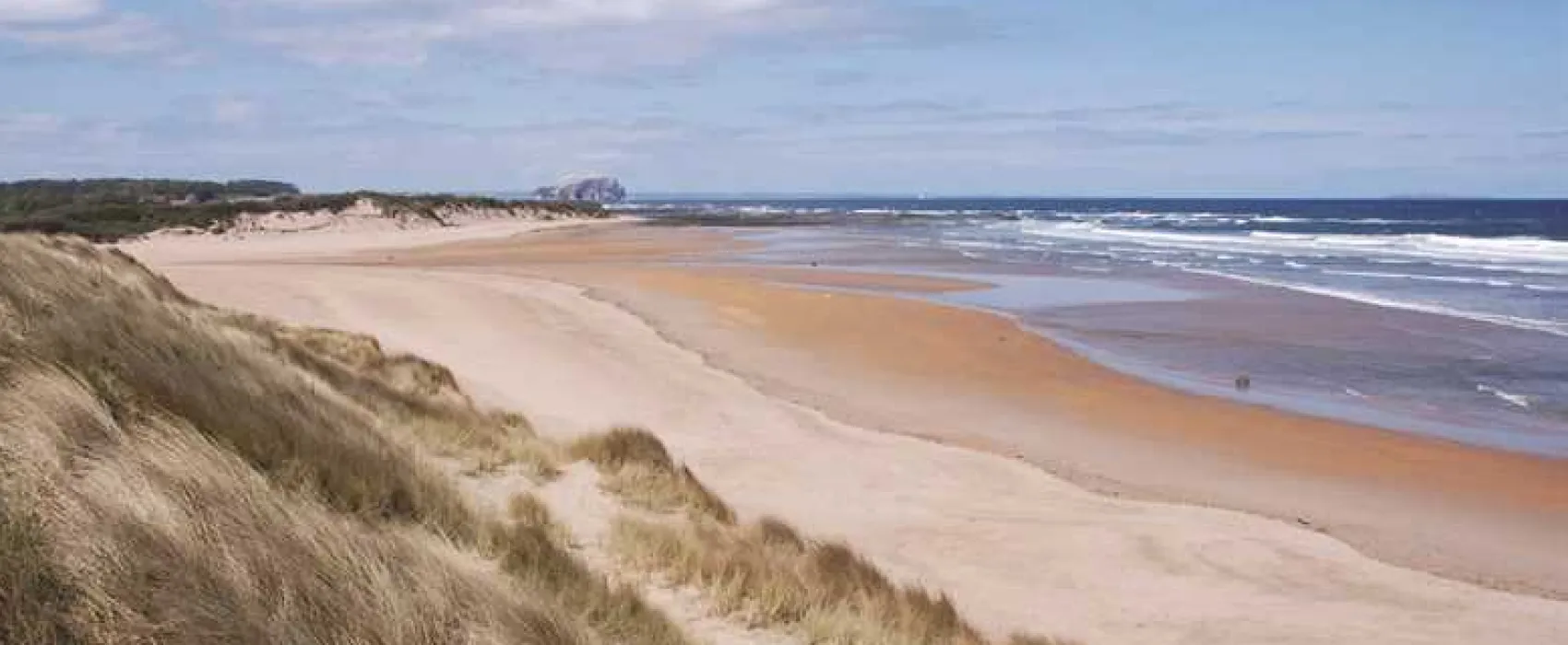 Harvest Moon Holidays