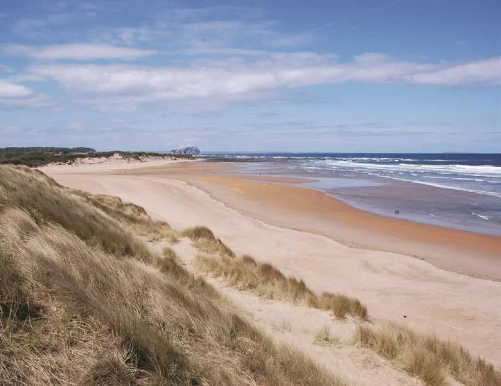 Harvest Moon Holidays