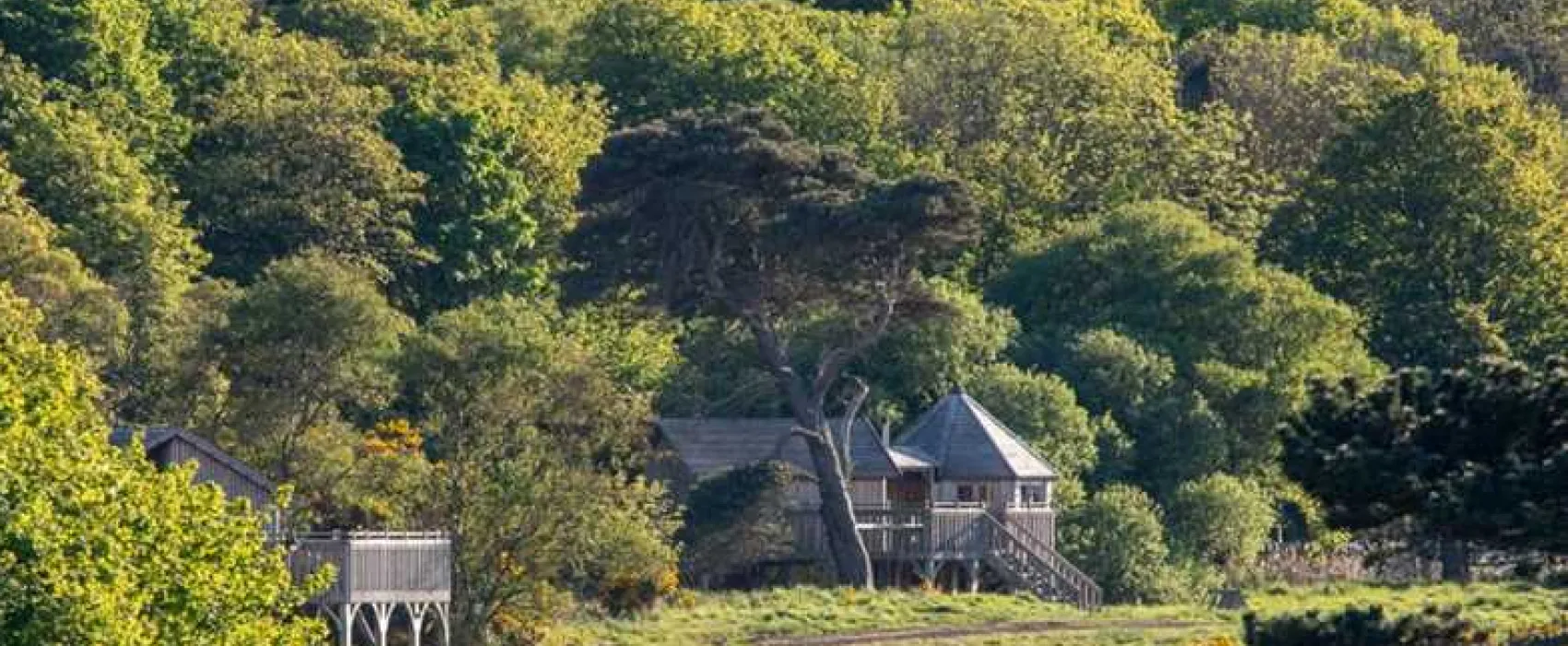 Harvest Moon Holidays