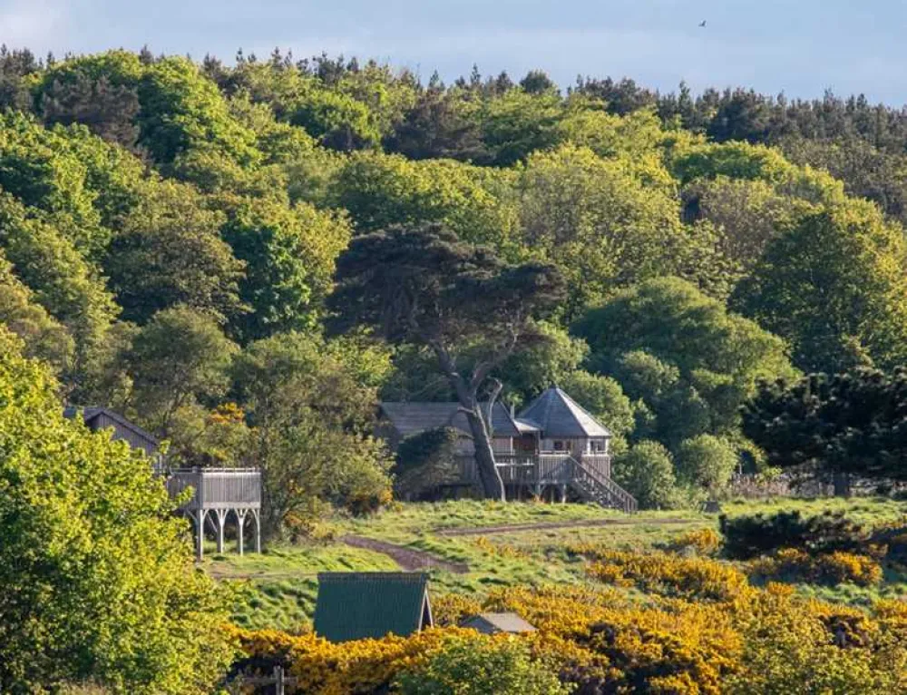 Harvest Moon Holidays