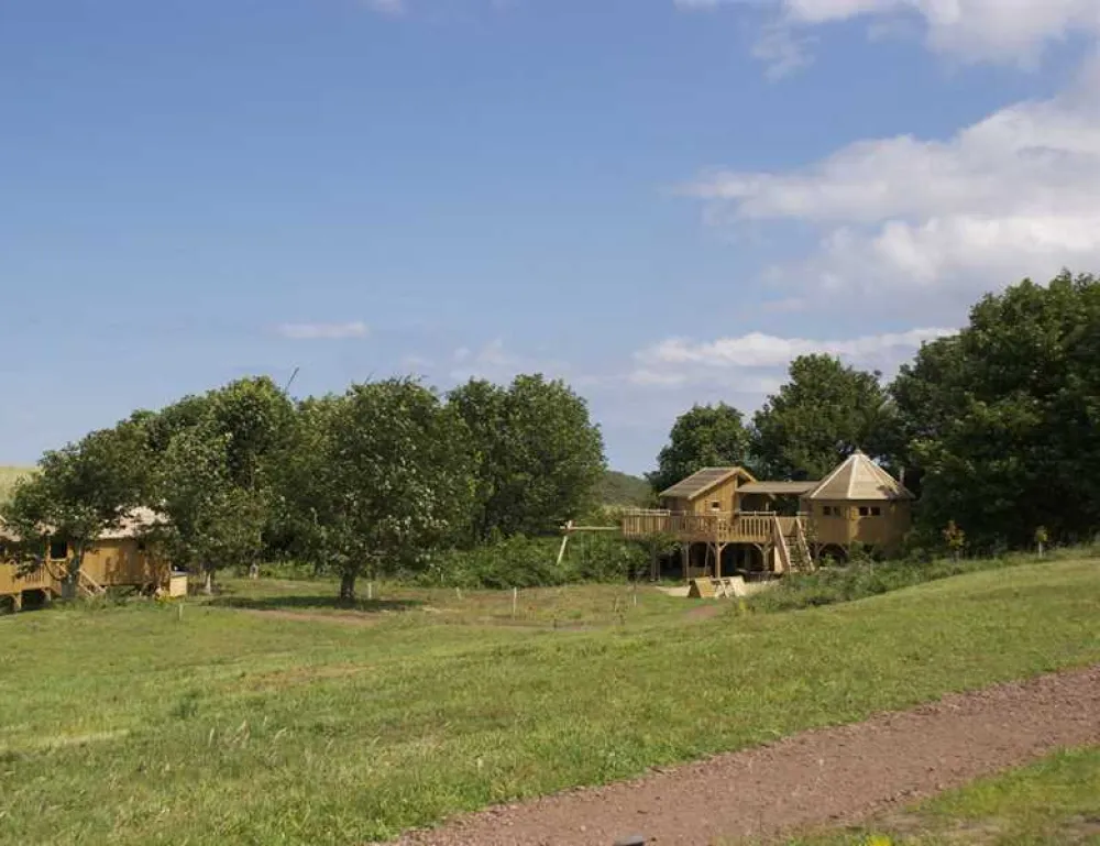 Harvest Moon Holidays