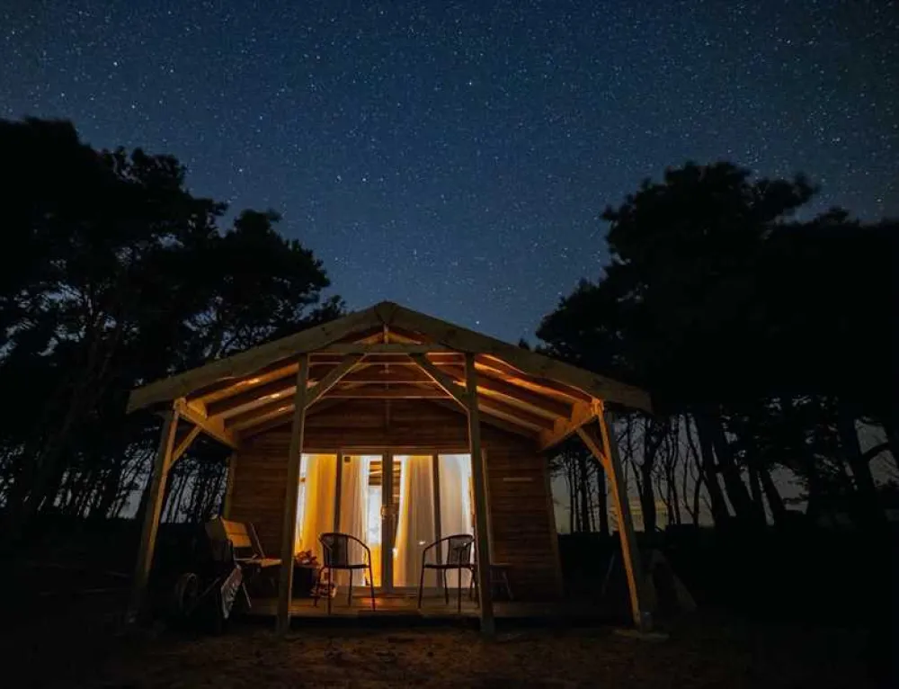 Harvest Moon Holidays