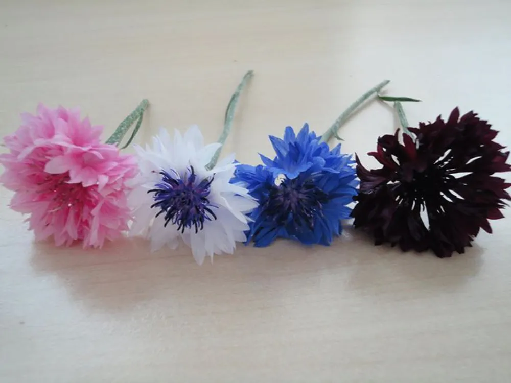 Minicamping Zorg-en-Vrij