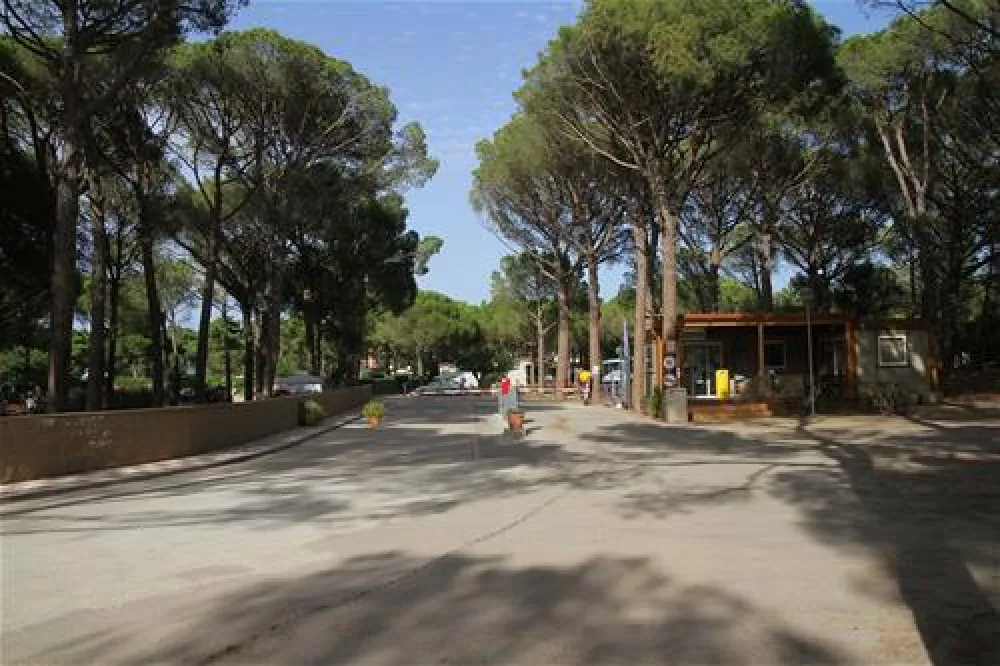 Neptuno (+ bungalows)