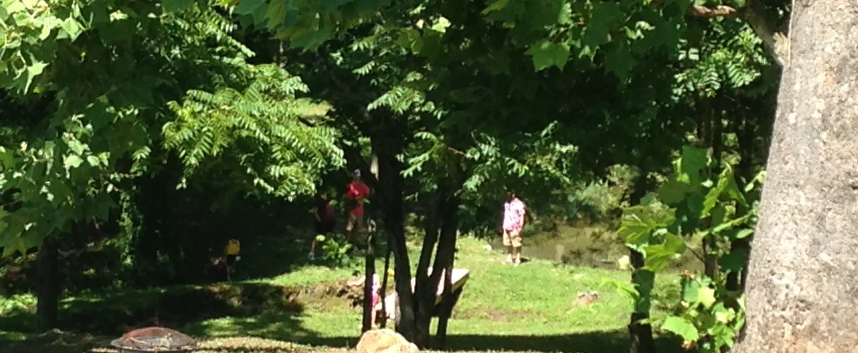 Byrd's Branch Campground